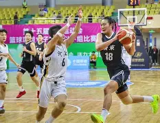 网页版入口-广东连胜持续,双外援联手击败河南队队员