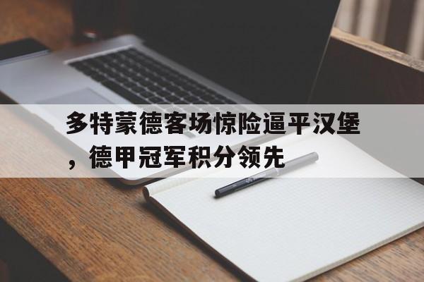 网页版入口-德甲多特蒙德官方合作伙伴